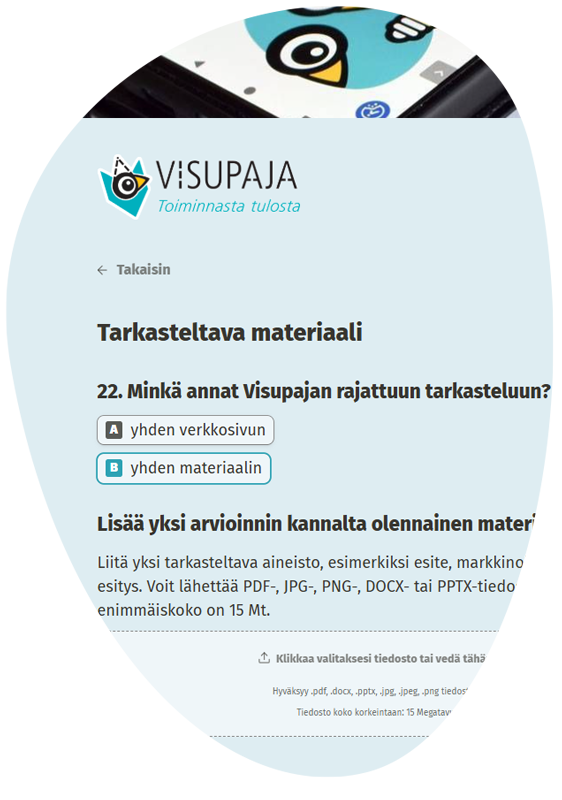 Ote Visupajan Visusuunta-etenemissuunnitelman kyselystä.